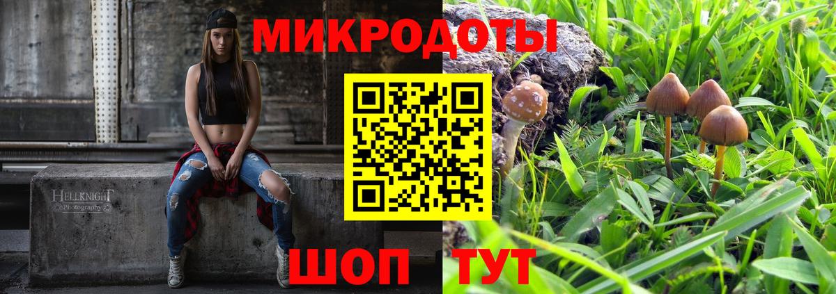 Псилоцибиновые грибы GOLDEN TEACHER Армавир